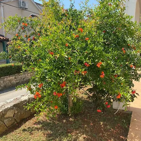 Apartment Ana Borovac Funtana